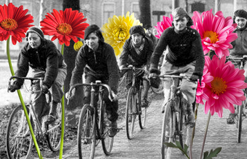Zum Auftakt der Tour de France Femmes erinnert ein 1.000 m groes Blumenmosaik an die Pionierin des Frauenradsports Mien van Bree. <br>