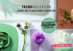 Die schon im letzten Jahr geplante Kampagne "Trendkollektion" kann im September starten.