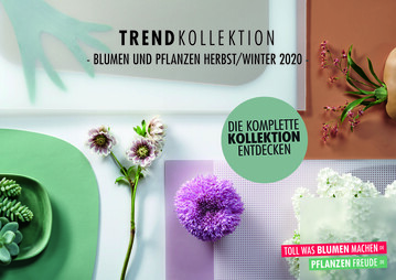 Die schon im letzten Jahr geplante Kampagne "Trendkollektion" kann im September starten.