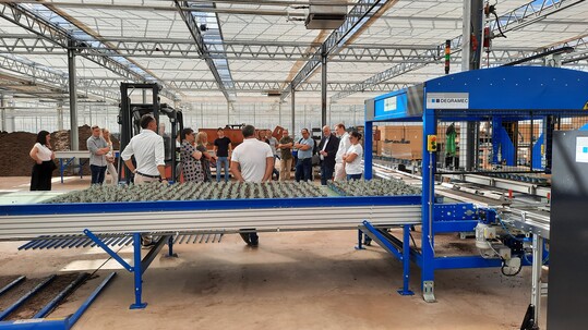 Die Bepflanzungsstrae bei Lwer in Aschaffenburg