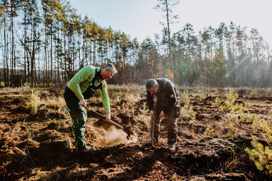 Fiskars untersttzte als Sponsor die Baumpflanztour 2022 der Klimaschutzorganisation Plant-my-Tree.