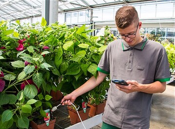 Mit dem Einsatz von Ebbe-Flut-Anlagen hat bellaflora in den letzten fnf Jahren 30% Wasser eingespart.