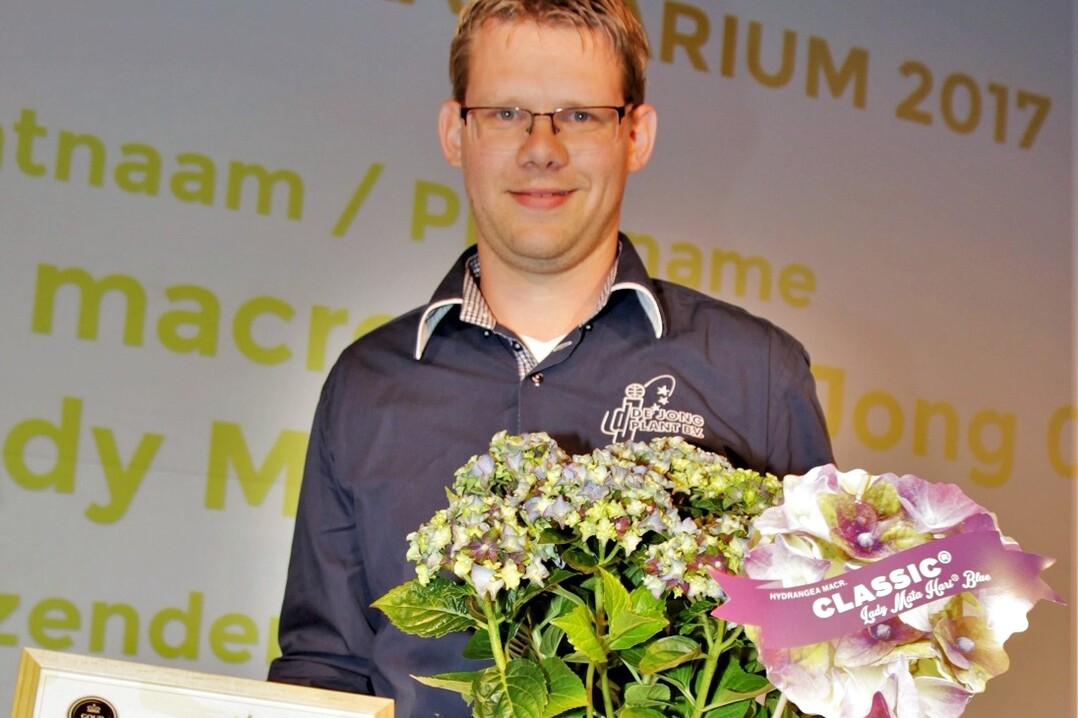 Hydrangea macrophylla "Jong 01" (Lady Mata Hari) wurde zur besten Novität der Plantarium 2017 gekürt - hier stolz präsentiert von Danny de Jong von De Jong Plants.