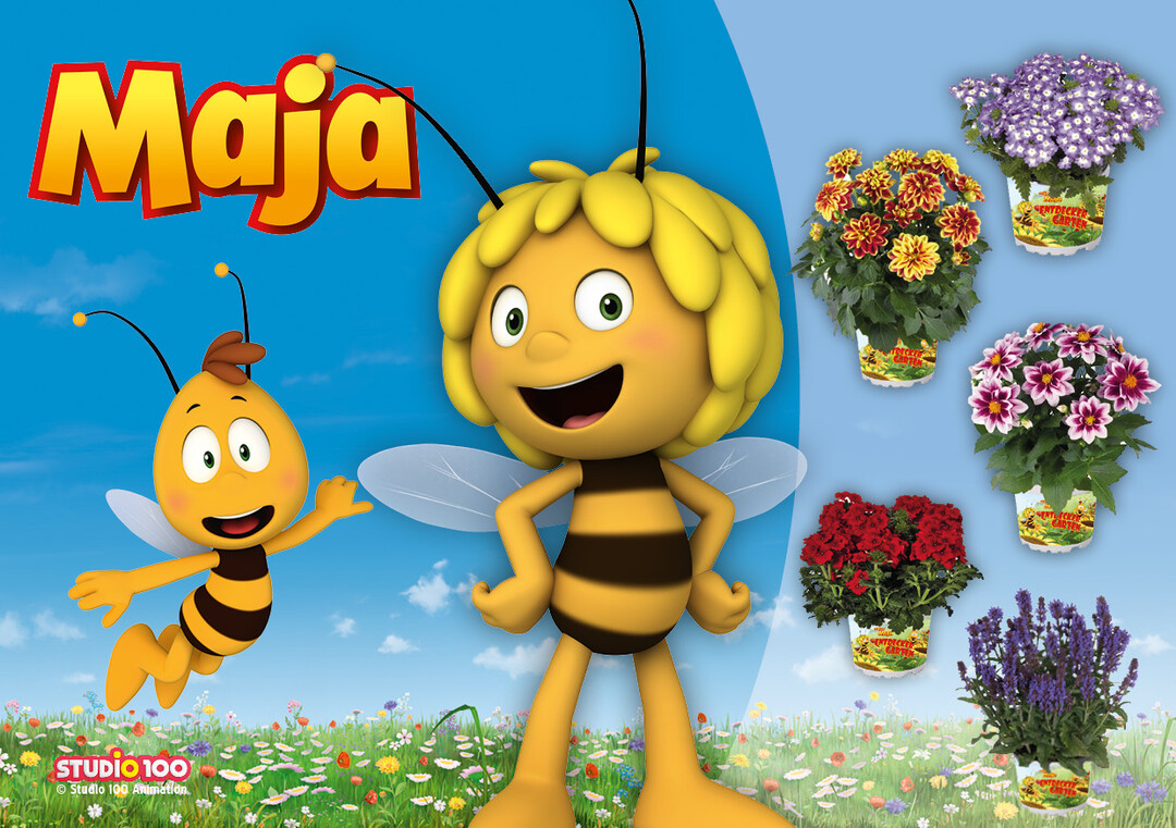 Biene Maja ist eine kleine, sehr neugierige Biene. Zusammen mit ihrem besten
Freund Willi, einem Bienenjungen, und Flip, dem Grashpfer, erkundet sie frhlich ihre Welt. Passend zur aktuellen Bienenschutzthematik bietet Landgard ntsprechende
Blumen und Pflanzen im Biene Maja-Design in Form von Majas oder Willis Entdecker-Garten an.