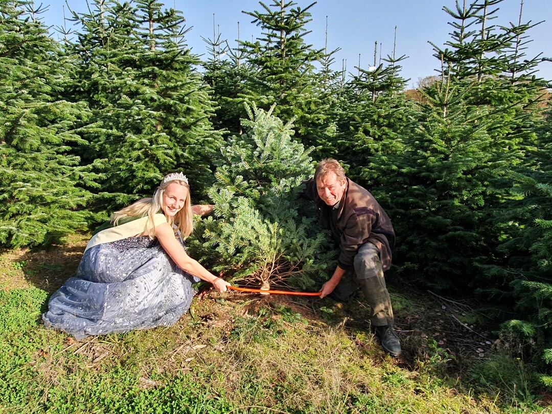 Symbolischer Start der Weihnachtsbaumsaison mit Weihnachtsbaumknigin Laura Stegemann und Eberhard Hennecke  