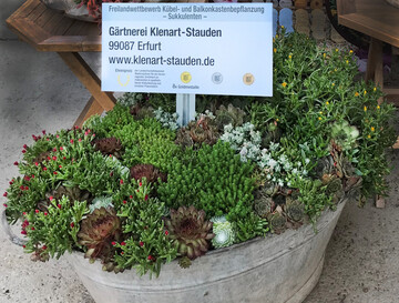 Fr das hervorragende Sukkulenten-Sortiment erhielt Klenart Stauden den Ehrenpreis der Landwirtschaftskammer Niedersachsen.