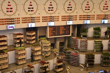 Die Ausschussteilnehmer verschafften sich vor der Ausschusssitzung einen Eindruck von der Blumen- und Pflanzenversteigerung der Veiling Rhein-Maas