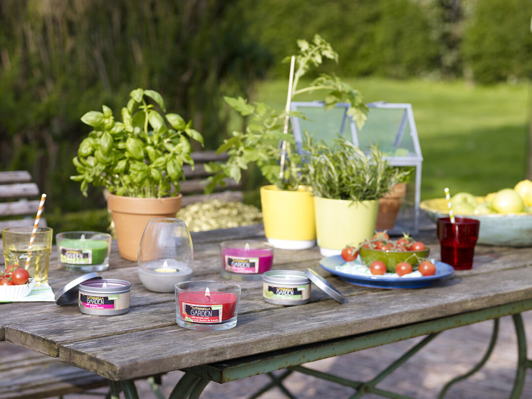 Die Citronella-Garden-Kollektion versprüht mit ihren verlockenden Düften und lebhaften Wachsfarben Sommerfeeling pur.