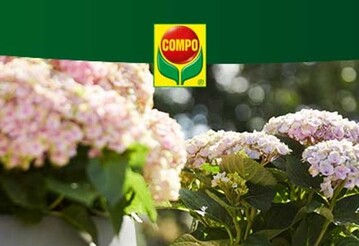 	COMPO Consumer bekommt einen neuen Eigentmer 