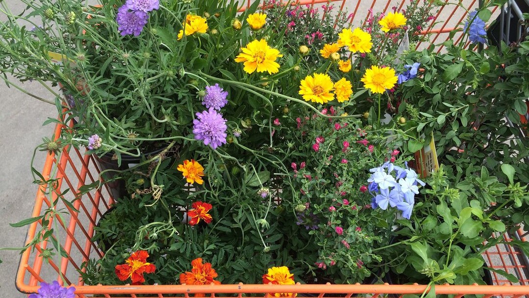 Die Umsatzrückgänge waren vor allem bei den Gartensortimenten spürbar.