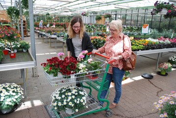 Trotz knapper Haushaltskassen - Kunden deckten sich
gut mit Pflanzen fr ihren Sommergarten ein.
