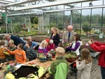 Edelkamp Gartencenter GmbH, Papenburg: Eifrig werkeln die Kinder mit den Pflanzen.