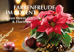 Farbenfreude im Advent