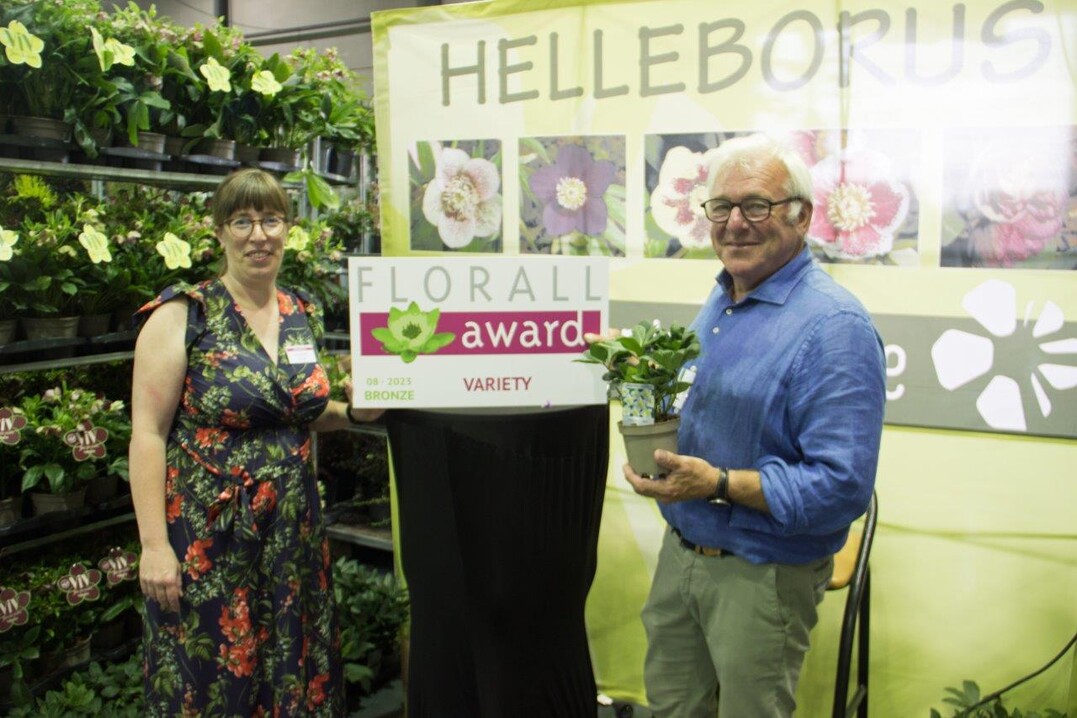 Bronze ging an Helleborus niger Winterfallvon 
Helleborus B.V. www.helleborusnursery.com