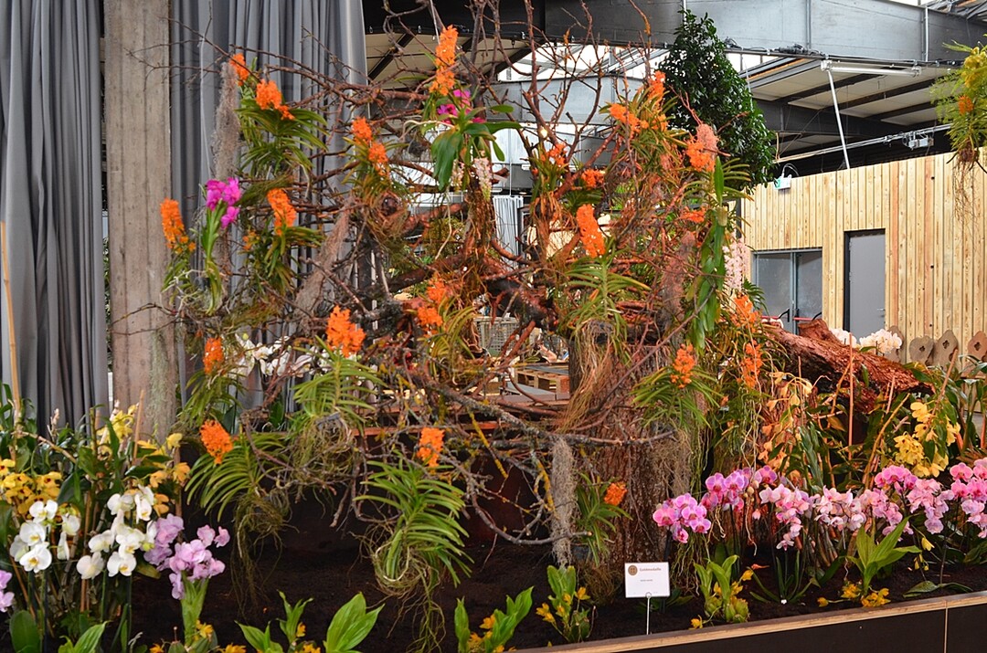 Florist Michael Liebrich begeistert Jury und Besucher mit seinen harmonischen Zusammenstellungen
