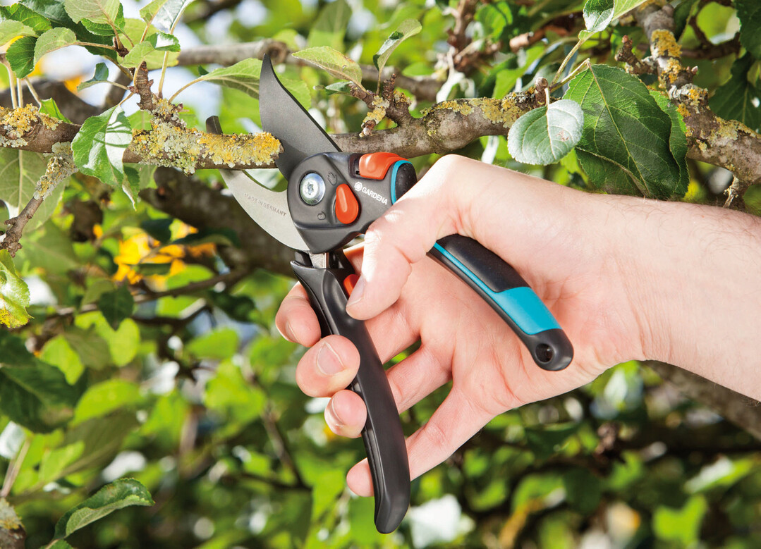 Die neue Generation der GARDENA Gartenscheren bietet höchsten Komfort beim Schneiden durch ergonomisch geformte Griffe mit eingearbeiteten Weichkomponenten. Für saubere Schnitte sorgen die vierfach präzisionsgeschliffenen Klingen.