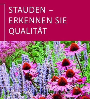 Die erfolgreiche BdS-Broschre Stauden-erkennen Sie Qualitt wurde neu aufgelegt.