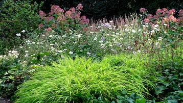 Hakonechloa als verbindendes Element vor Japan-Anemonen, Kerzen-Knterich und Blut-Weiderich