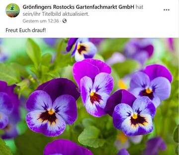Grnfingers in Rostock verbreiten Vorfreude. 