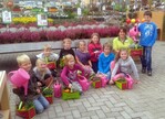 Mit Heideaktionen in Gartencentern begeistert die Sondergruppe Azerca Kinder für den Gartenbau. Den teilnehmenden Gartencentern stellt die Azerca Informations- und Aktionsmaterial zur Verfügung. So werden nicht nur die kleinen, sondern auch die großen Kunden gebunden.