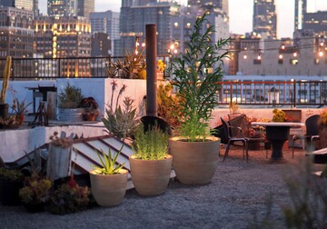 Licht in den Blumenkbel - mit dem LED Leuchtsystem von Herstera Garden