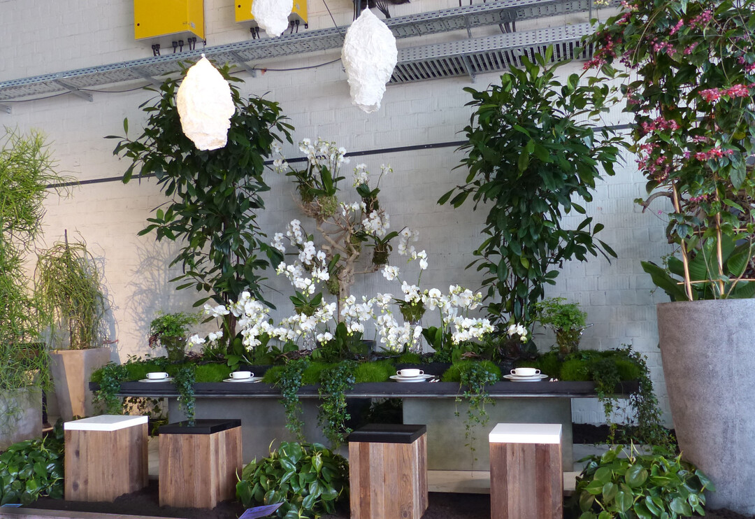 Grtnermeister, Florist und Gestalter Willi Hfer erhielt eine Groe Goldmedaille der Deutschen Bundesgartenschau-Gesellschaft fr seinen Ausstellungsbeitrag Exotic Dinner.