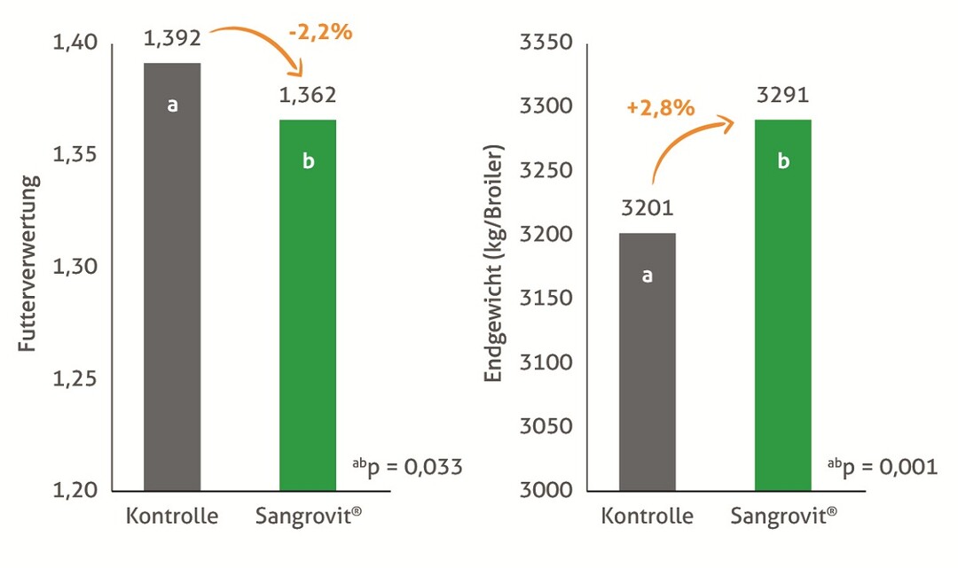 Abbildung 2: Freie Universität Berlin, Deutschland, Versuch mit Cobb 500 Broilern, Tag 42