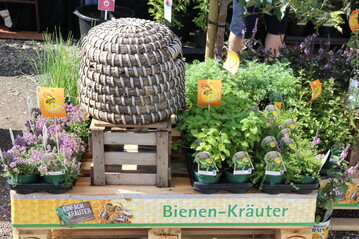 Die Staudengrtner zeigten vielfltige Sortimente - auch zu bienenfreundlichen Pflanzen, hier bei Hussermann Stauden + Gehlze.