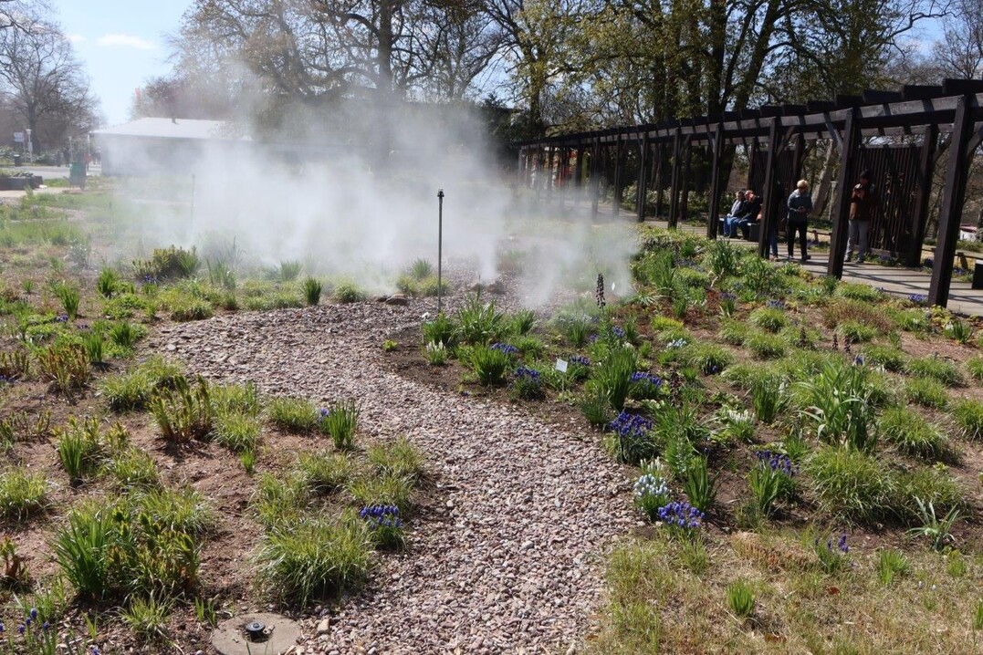 Regelmig austretender Wassersprhnebel verleiht dieser Pflanzung im ega-Park besonderes Flair.