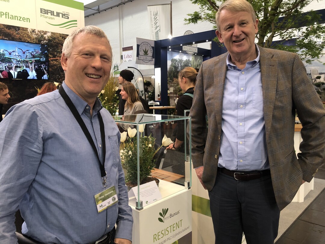 Der belgische Buchszüchter Didier Herman und Jan-Dieter Bruns von der Baumschule Bruns Pflanzenhandel in Bad Zwischenahn wollen in Zukunft resistente Buchs-Sorten anbieten.