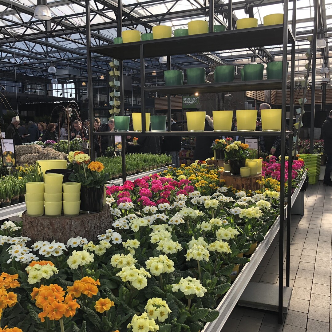 Station 3 der Gartencentertour durch Mnchen - Kiefl in Gauting
