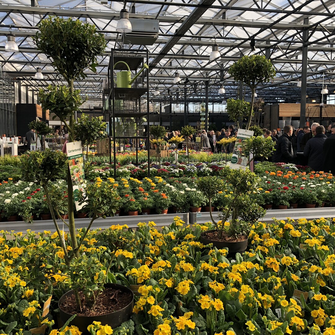 Station 3 der Gartencentertour durch Mnchen - Kiefl in Gauting