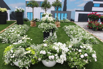 Die Besucherzahl in Nordrhein-Westfalen (FlowerTrials-Region Rheinland-Westfalen) wuchs besonders stark. Hier ein Ausstellungsbeitrag von Bongartz und Endisch in Korschenbroich.