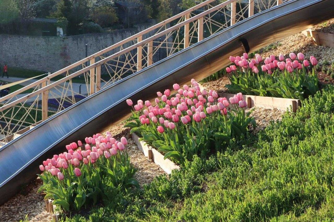 Frhjahrsimpression an Rutschbahnen auf dem Petersberg