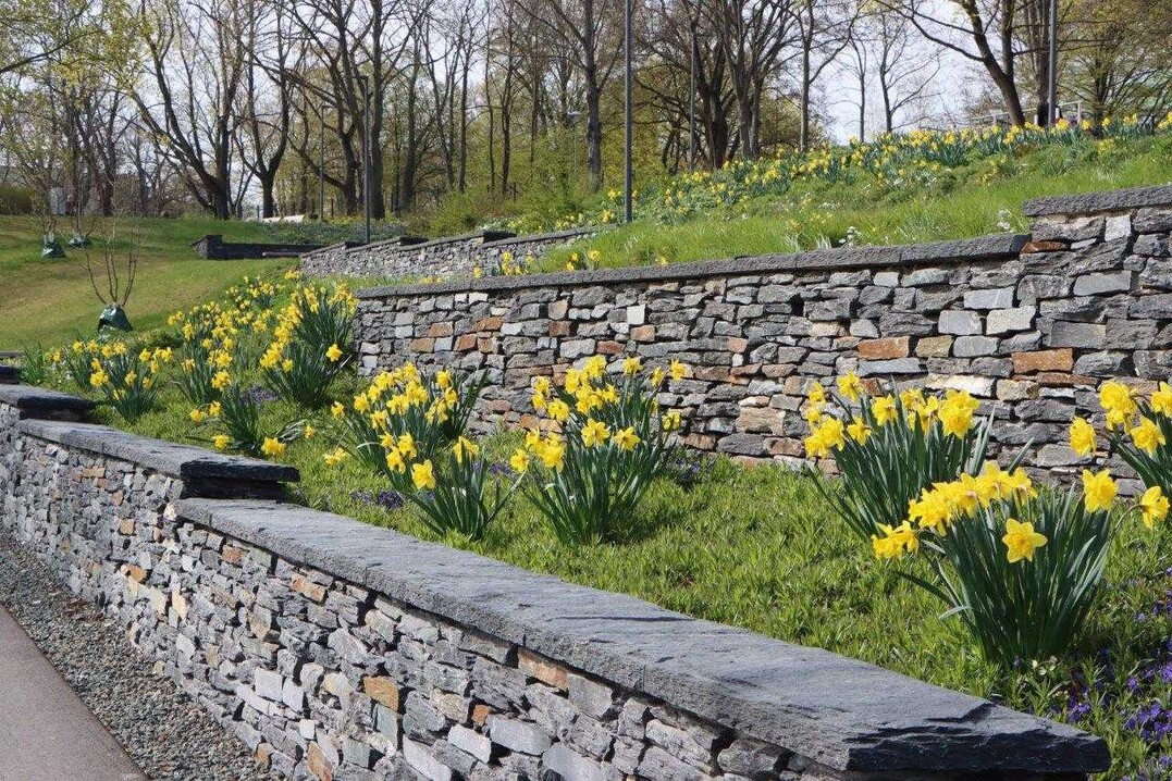         Der Erfurter Nordpark in den Geraauen wurde zur BUGA neu gestaltet und ist frei zugnglich.