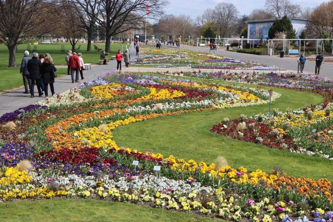 "Groe Bltenwogen und ein ausgeklgeltes Farbspiel": Seit 1961 empfngt das Groe Blumenbeet die Besucher im ega-Park (frher "iga"). Es ist mit 370 m Lnge und rund 6.000 m2 Flche das grte gestaltete Beet in Europa. 