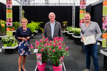 Sebastiaan van der Heijden (mit Zertifikat), Van Son & Koot, Helma van der Louw Sessel, KVBC, und Jan de Vries Sessel, SVB 