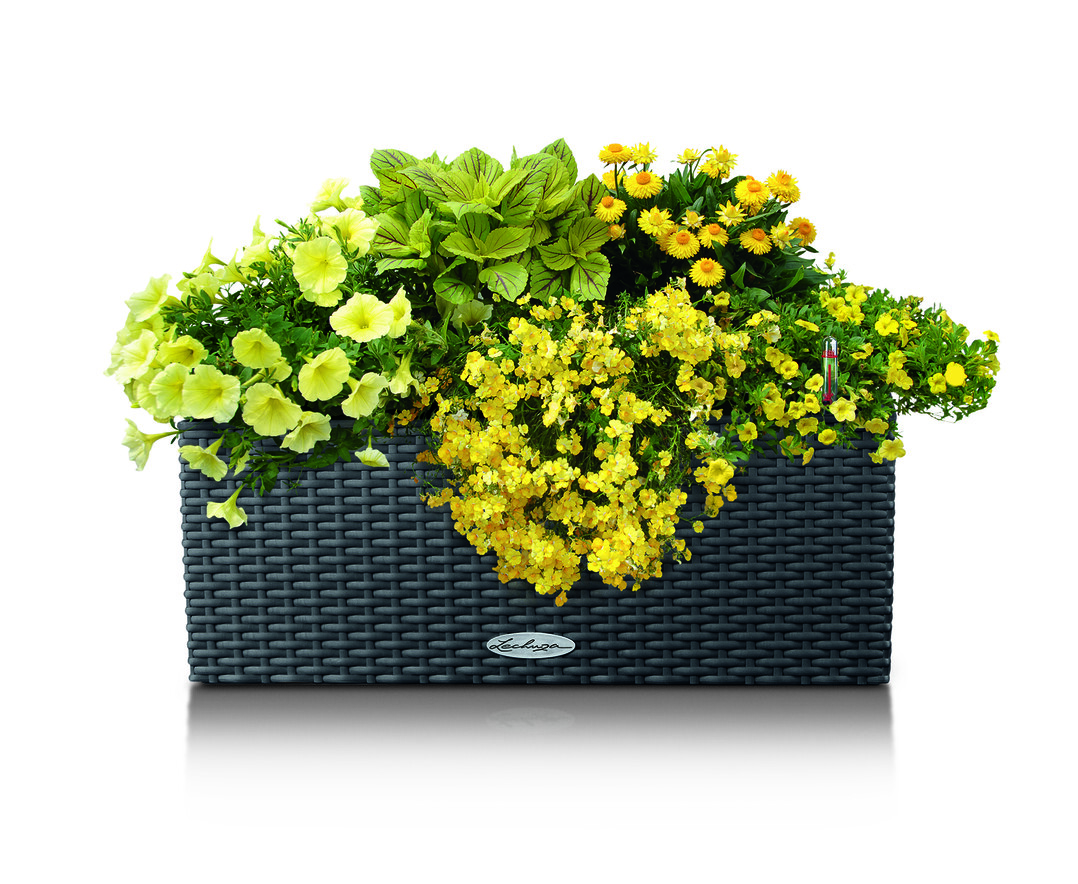 LECHUZA BALCONERA Color (50 x 19 x 19 cm) mit 3 Liter Wasserreservoir ist erhältlich in den Farben weiß, schiefergrau, muskat und pistaziengrün. Preis 29.95 Euro (UVP)