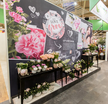 Neuerffnung baut Position von Bloomways als kompetenter Schnittblumenanbieter fr den Fachhandel aus.