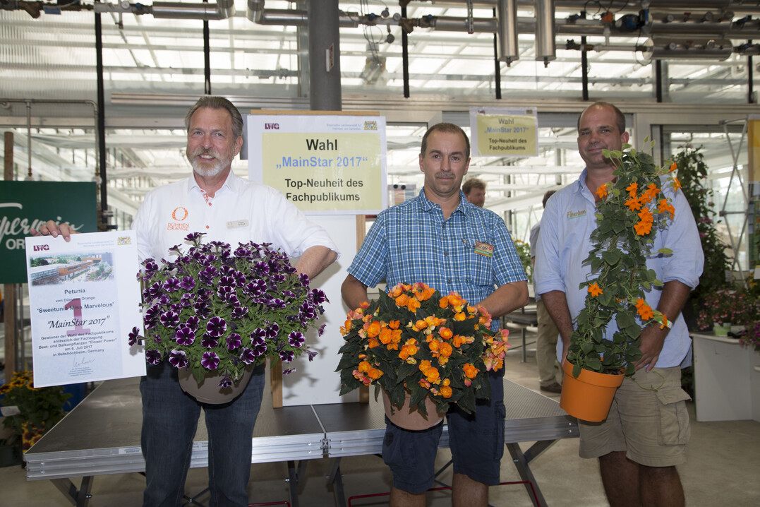 Die MainStar-Preistrger (von links): 1. Platz Petunie Sweetunia Miss Marvelous hell-dunkelviolett geflammt von Dmmen Orange. Daneben die zweitplatzierte Schwarzugige Susanne Sun Lady in orange von Fleurizon International sowie der 3. Platz fr die Knollenbegonie Orangedrops von Begonien-Rieger.