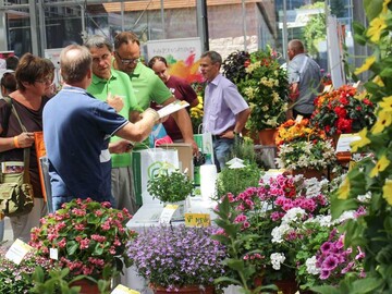 Die Blumen von Morgen l Welche Pflanzen kommen mit den Wetterkapriolen und der zunehmenden Hitze und Trockenheit gut zurecht? Die Gartenleistungsprfung zeigte ganz unverblmt die aussichtsreichsten Kandidaten