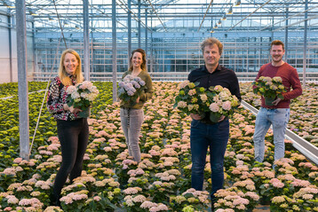 V.l.n.r.: Annelies van den Dool (Magical Hydrangea), Sandra Vijverberg  van der Knaap
(Magical Hydrangea), Ruud Olsthoorn (Brands of Plants), Frank van der Meer (The Mastergrowers) 