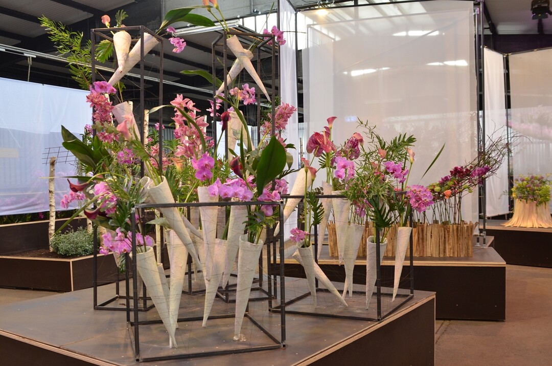 Orchideen vom Orchideengarten Karge tanzen hier in Pappmachtten aus der Reihe