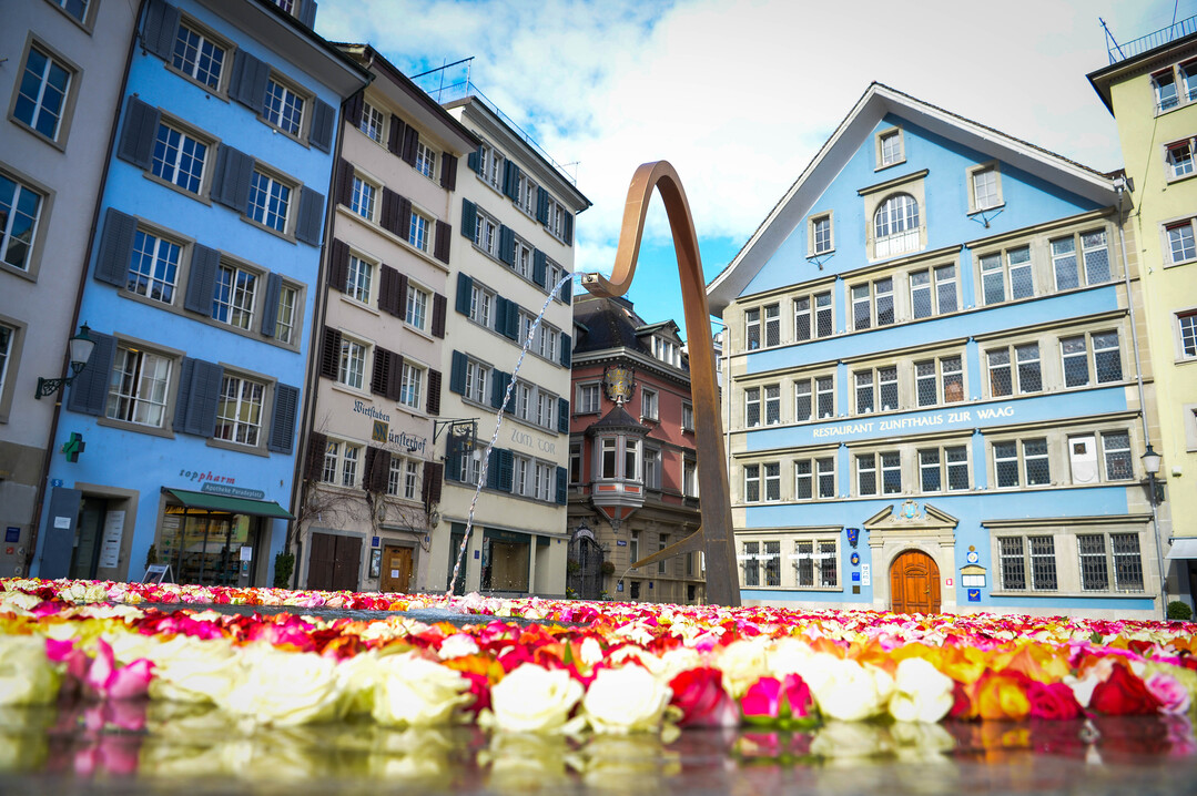   Ein Dankeschn gebhrt einer Zrcher Familie, welche die Rosenbrunnen finanziert hat, sowie dem Blumengeschft Blumen Fitze und der Wasserversorgung Zrich, welche die Aktion ermglicht haben.