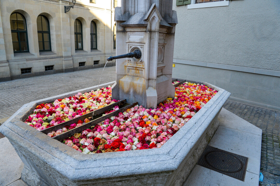   Rosenbrunnen in der Altstadt, 29. Mrz bis 5. April 2021