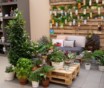 Inspiration und Ideen fr die verkaufsfrdernde Prsentation lieferten die "POS Green Solution Islands" auf der spoga+gafa