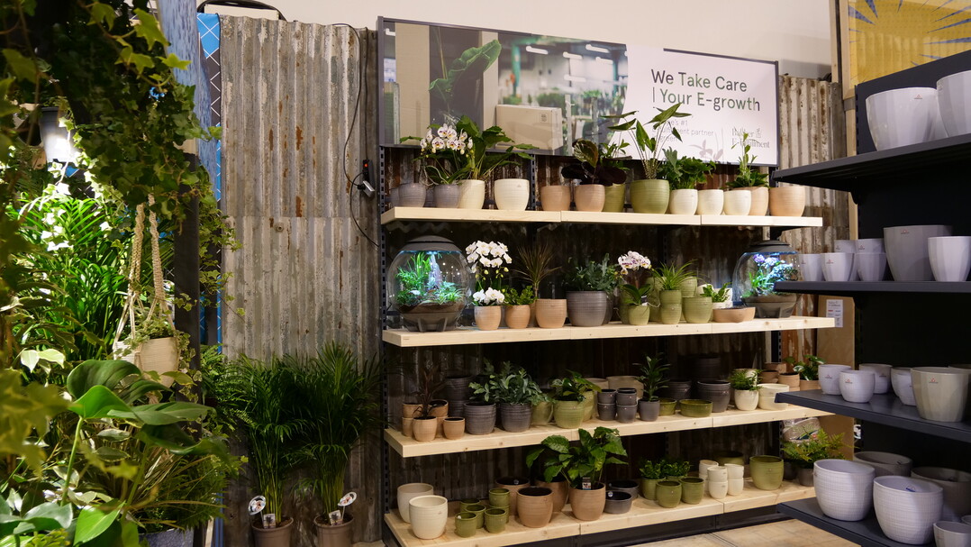 Prsentation und Inspiration ist ganz, ganz wichtig, wird Romeo Sommers nicht mde zu betonen. Im Discovery Center zeigt er unter anderem stimmungsvolle Regalprsentationen. 