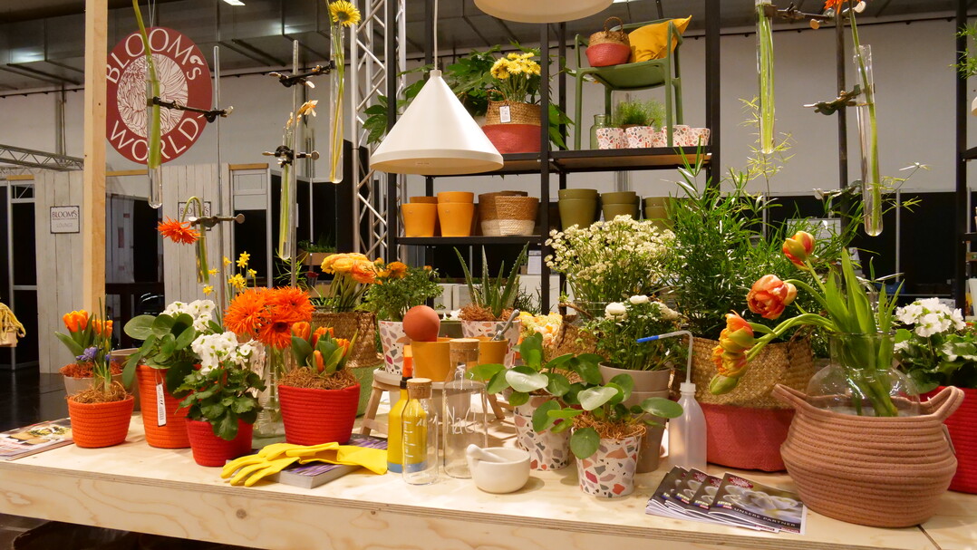 Frühlingshaft inszenierter Tisch in der Bloom"s World