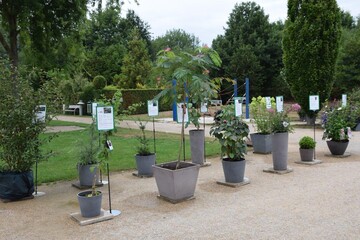 Das Trend- und Neuheitenschaufenster im Park der Grten in Bad Zwischenahn.
