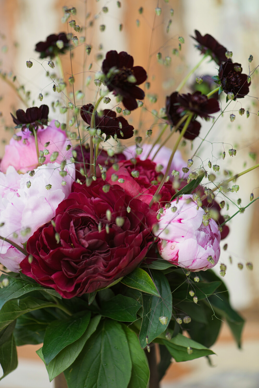berraschend krftig! Die Pfingstrosen Sarah Bernhardt und Bartzella in einem farbstarken Strau mit Celosien und Ageratum